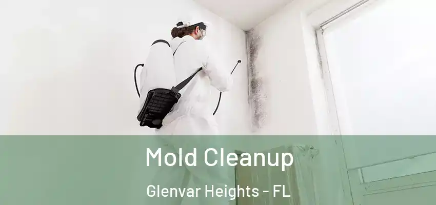 Mold Cleanup Glenvar Heights - FL