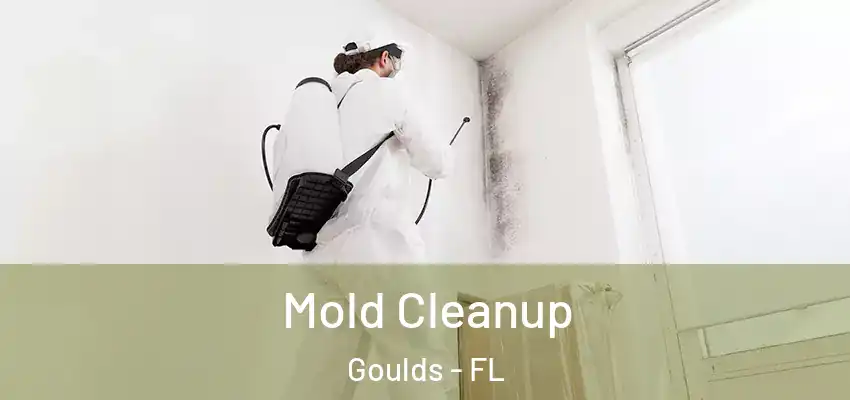 Mold Cleanup Goulds - FL
