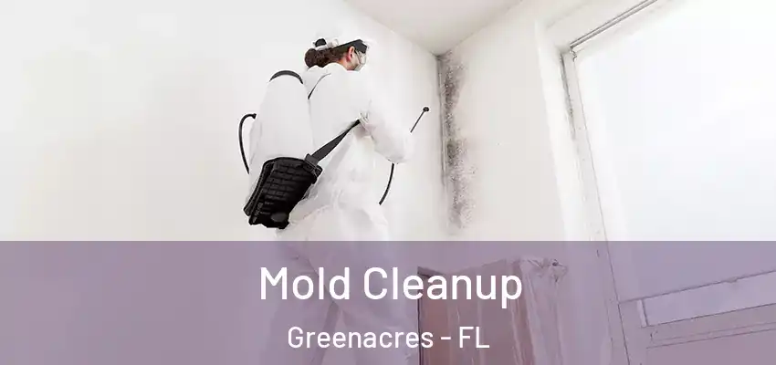  Mold Cleanup Greenacres - FL