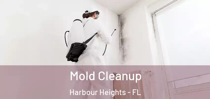 Mold Cleanup Harbour Heights - FL
