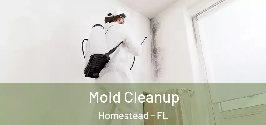 Mold Cleanup Homestead - FL
