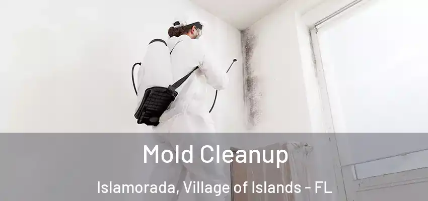 Mold Cleanup Islamorada, Village of Islands - FL