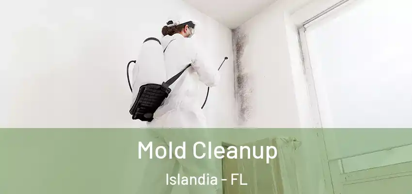 Mold Cleanup Islandia - FL