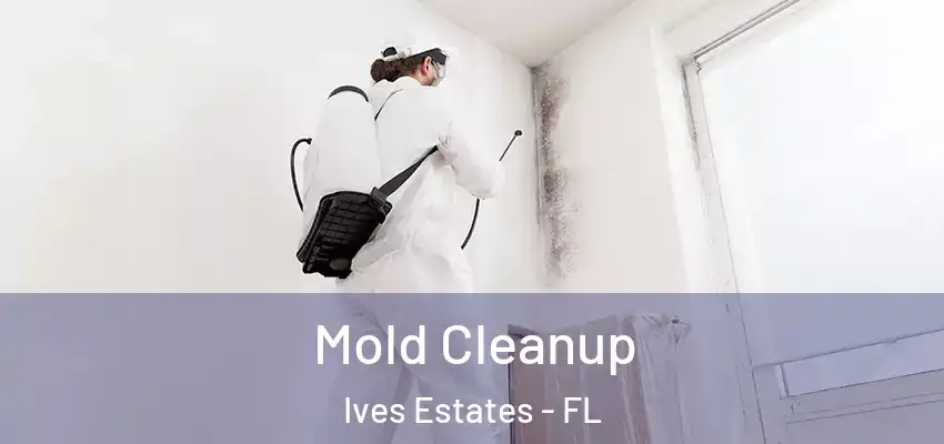 Mold Cleanup Ives Estates - FL