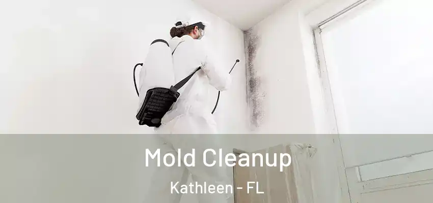Mold Cleanup Kathleen - FL