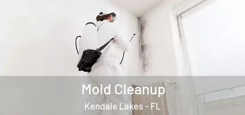  Mold Cleanup Kendale Lakes - FL