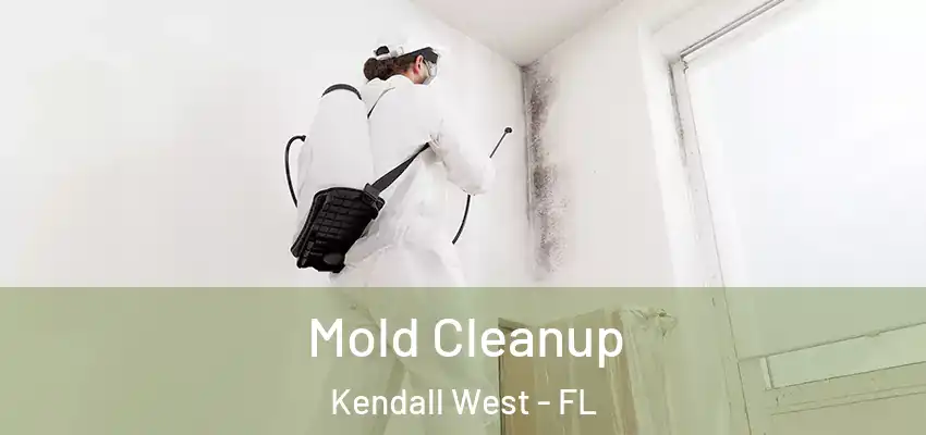  Mold Cleanup Kendall West - FL