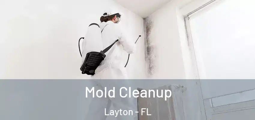 Mold Cleanup Layton - FL