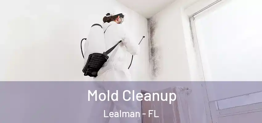 Mold Cleanup Lealman - FL
