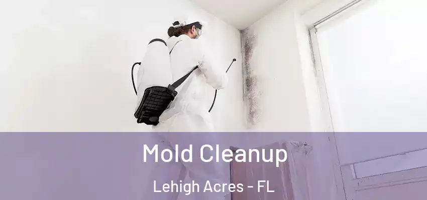 Mold Cleanup Lehigh Acres - FL