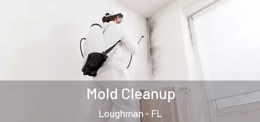 Mold Cleanup Loughman - FL