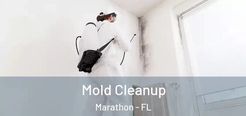 Mold Cleanup Marathon - FL