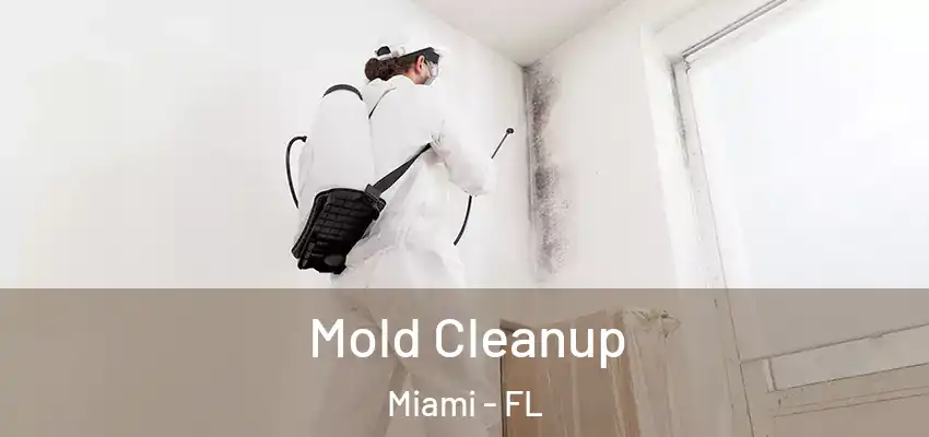 Mold Cleanup Miami - FL