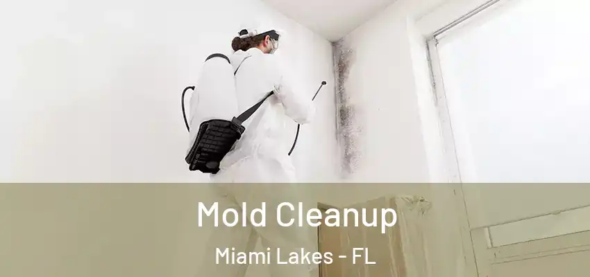Mold Cleanup Miami Lakes - FL
