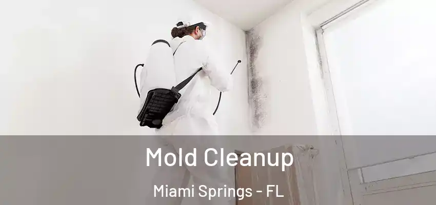  Mold Cleanup Miami Springs - FL