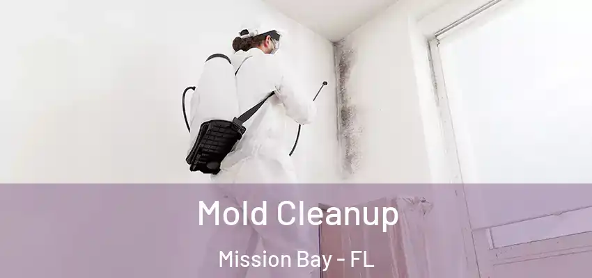  Mold Cleanup Mission Bay - FL