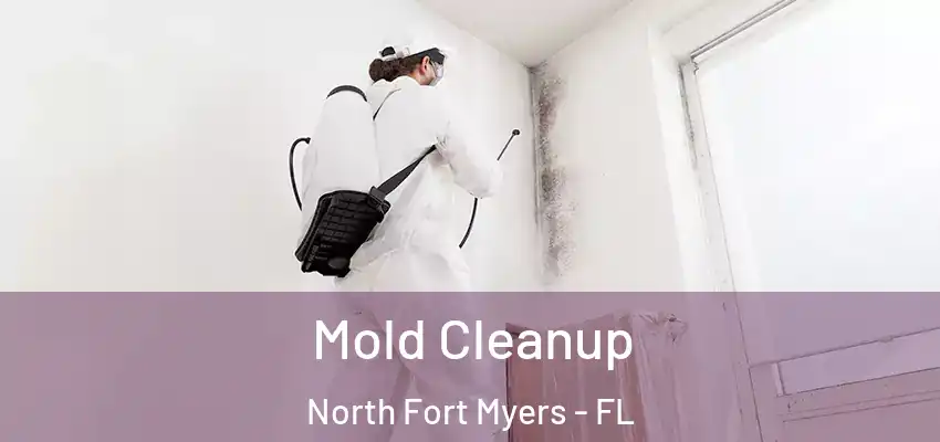  Mold Cleanup North Fort Myers - FL