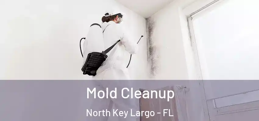 Mold Cleanup North Key Largo - FL