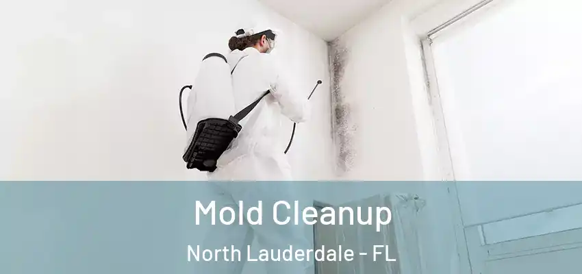 Mold Cleanup North Lauderdale - FL