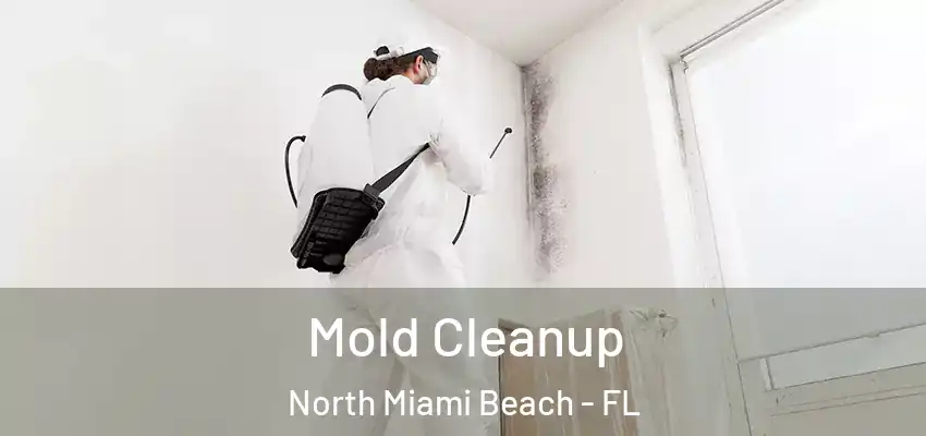  Mold Cleanup North Miami Beach - FL