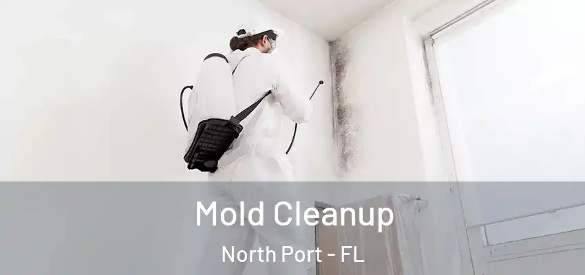 Mold Cleanup North Port - FL