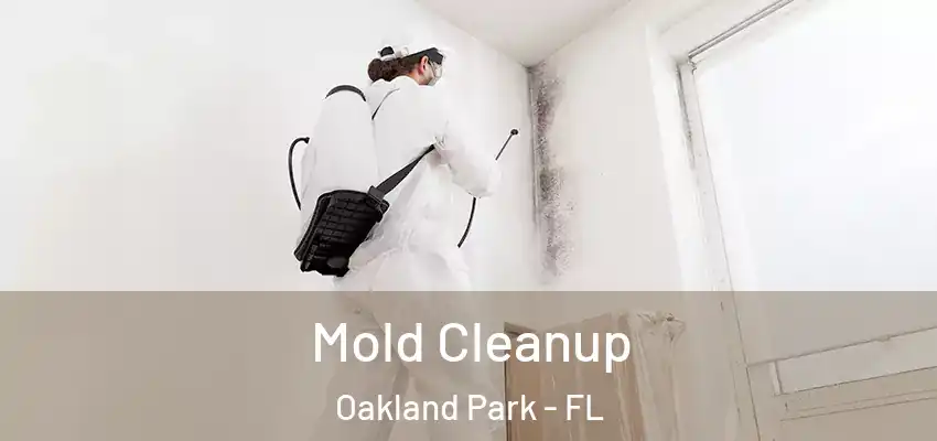  Mold Cleanup Oakland Park - FL