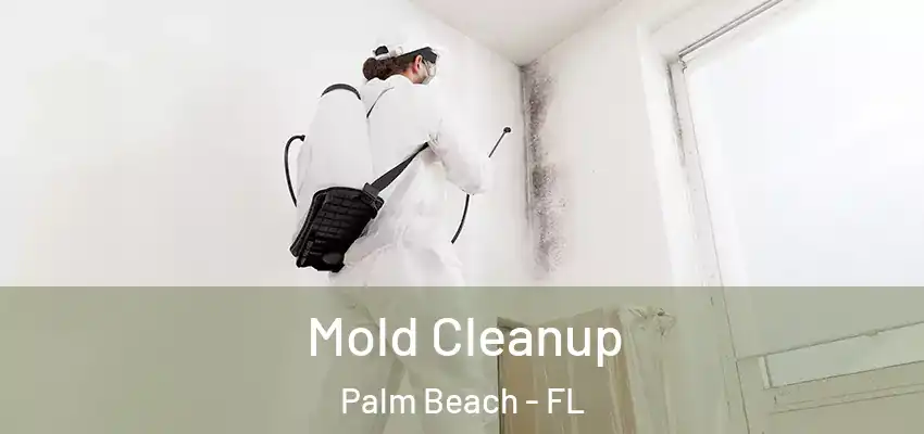  Mold Cleanup Palm Beach - FL