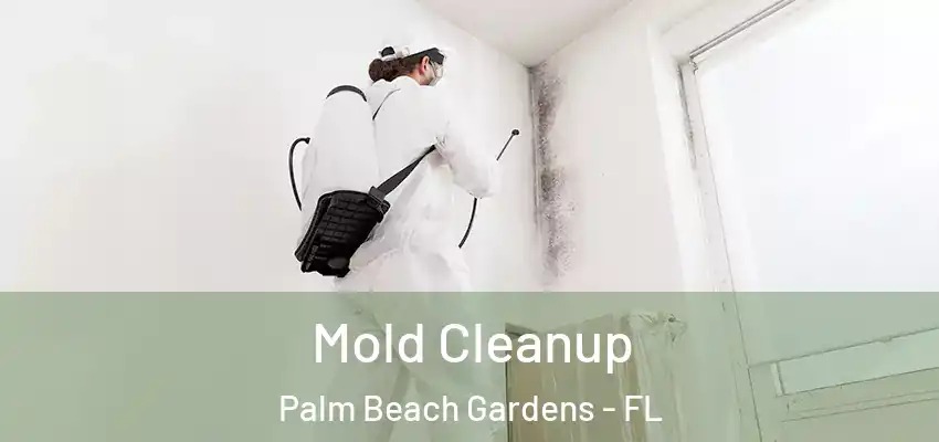 Mold Cleanup Palm Beach Gardens - FL