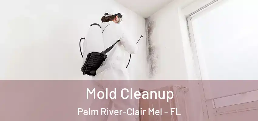 Mold Cleanup Palm River-Clair Mel - FL