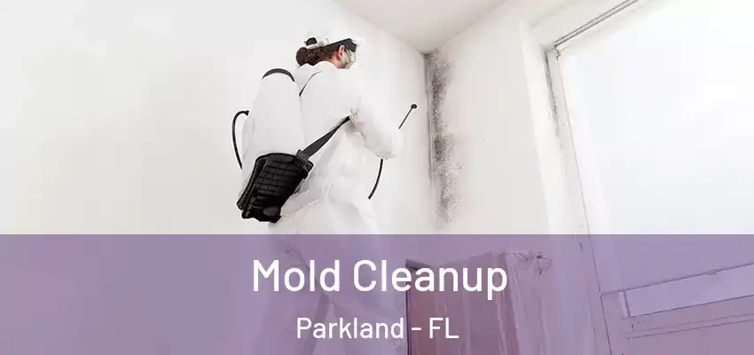  Mold Cleanup Parkland - FL