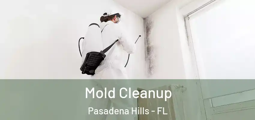  Mold Cleanup Pasadena Hills - FL