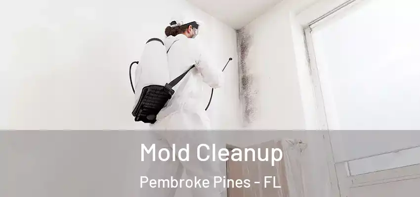 Mold Cleanup Pembroke Pines - FL