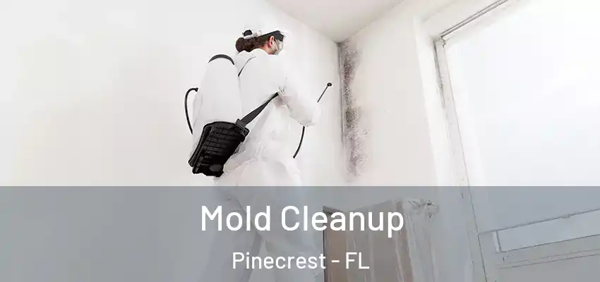 Mold Cleanup Pinecrest - FL