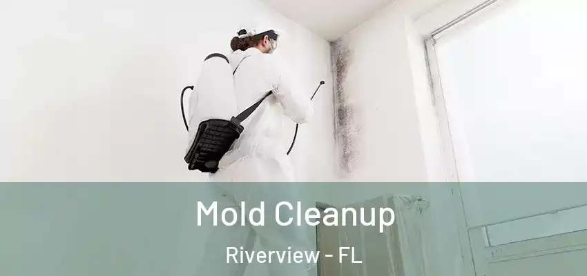 Mold Cleanup Riverview - FL
