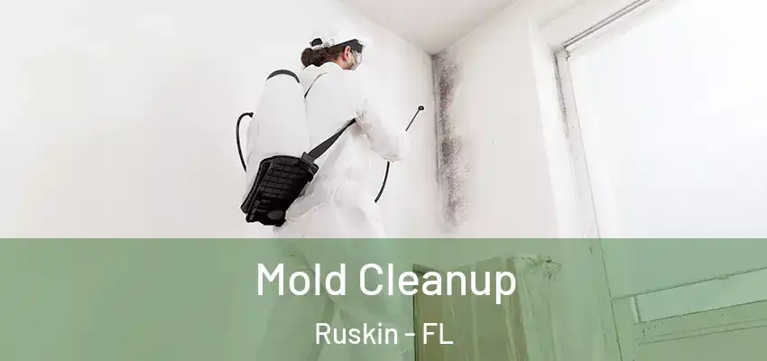 Mold Cleanup Ruskin - FL