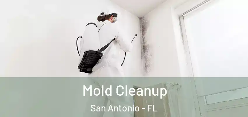 Mold Cleanup San Antonio - FL