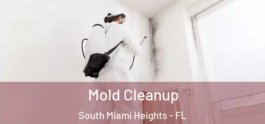 Mold Cleanup South Miami Heights - FL