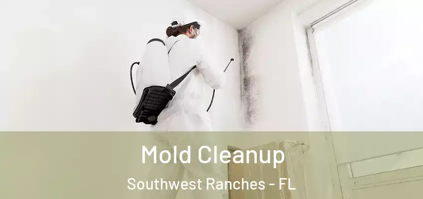Mold Cleanup Southwest Ranches - FL
