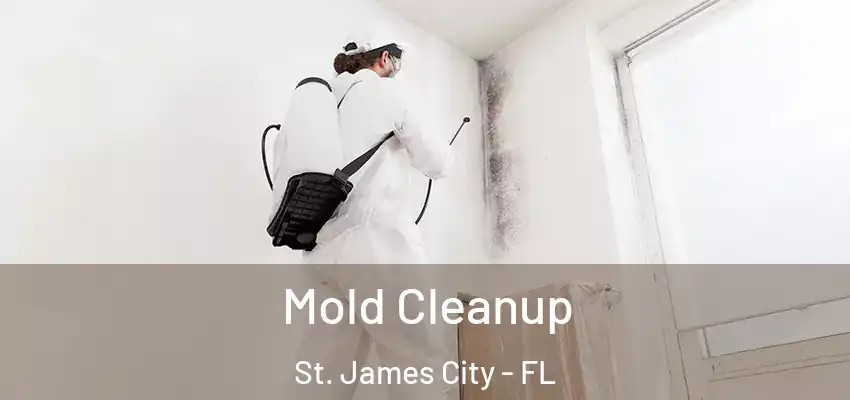 Mold Cleanup St. James City - FL