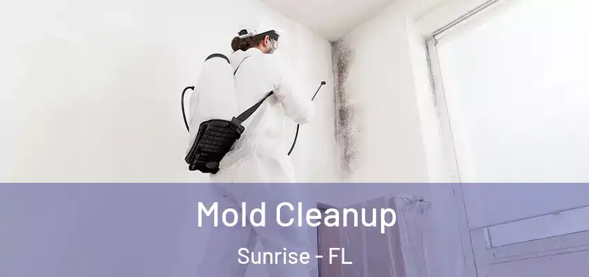  Mold Cleanup Sunrise - FL