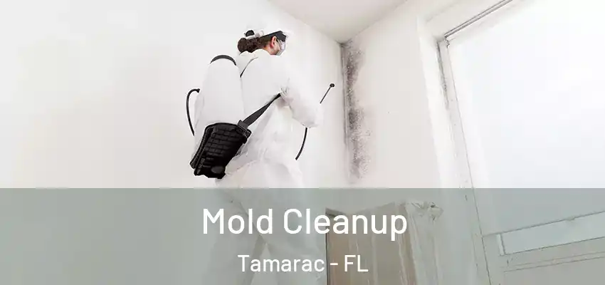  Mold Cleanup Tamarac - FL