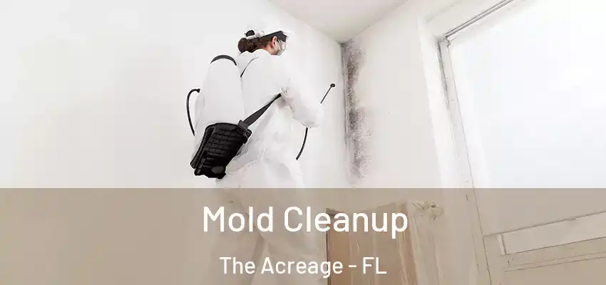 Mold Cleanup The Acreage - FL