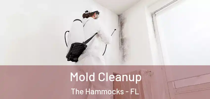 Mold Cleanup The Hammocks - FL