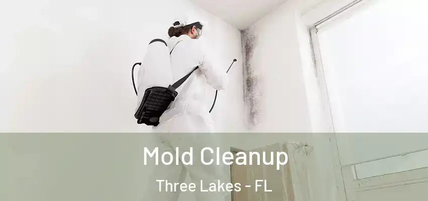 Mold Cleanup Three Lakes - FL