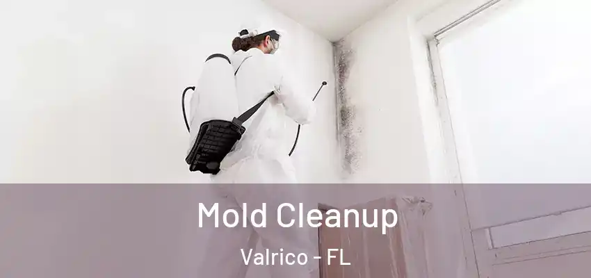 Mold Cleanup Valrico - FL