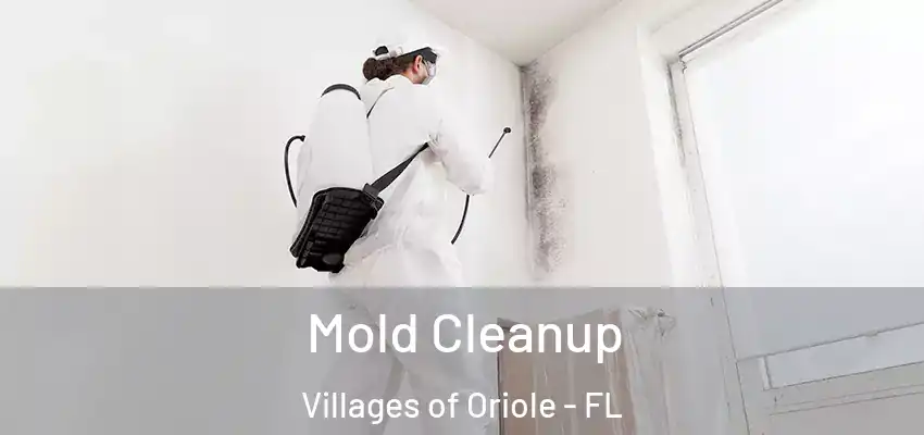 Mold Cleanup Villages of Oriole - FL