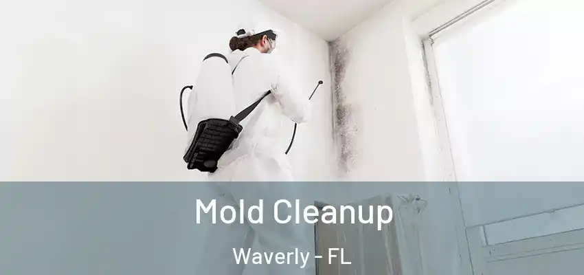Mold Cleanup Waverly - FL
