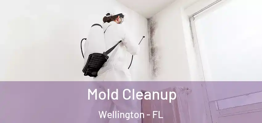  Mold Cleanup Wellington - FL