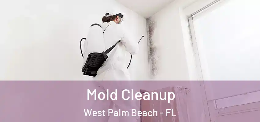  Mold Cleanup West Palm Beach - FL