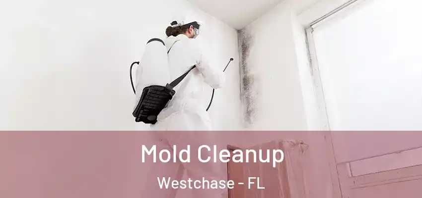 Mold Cleanup Westchase - FL